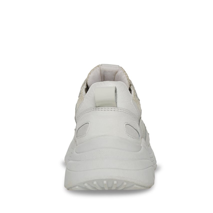 White Steve Madden Dia Women's Sneakers | PH 5190JPZ